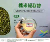 HGO Factory Direct Supply Zuiver Natuurlijk Sophora Japonica Poederextract Voedingskwaliteit 90% 98% Luteoline Gestandaardiseerd Plantaardig Extract