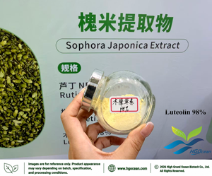 Extrait de Sophora Japonica Pur et Naturel en Poudre, Qualité Alimentaire, 90% 98% Lutéoline Standardisée, Extrait Végétal, Fourniture Directe Usine HGO - Product Image 3