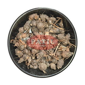 Raíz de Cyperus Rotundus Nagarmotha Seca, Grado A, India - Product Image 1