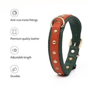 Collar de Cuero Hecho a Mano para Perro con Etiquetas Personalizadas de Latón Dorado Sólido a Precio de Mayoreo - Product Image 4