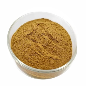 Extracto de guaraná 100% puro en polvo 10:1, extracto premium de semillas de Paullinia cupana, polvo de guaraná natural para apoyo energético - Product Image 3