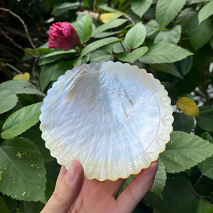 Pearl Of Mother Shell Plate Polished Vietnam Material For Decorative Inlay Button Craft Jewelry Plate Supplier - Product Image 1