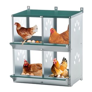 Cajas de Metal con 4 Compartimentos para Gallinas, Jaula de Pared para la Producción de Huevos, para Diferentes Razas - Product Image 4
