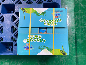 มะพร้าวเขตร้อนสีเขียวสดจากเวียดนาม - Product Image 4