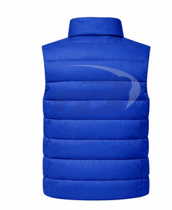 Zeta phi Beta zpb sorority เสื้อกั๊กบุนวมคุณภาพสูงเสื้อกั๊กกันความร้อนสำหรับผู้หญิง - Product Image 2