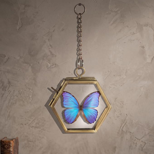 Mini Cute Photo <b>Frame</b> Hexagon Shape Clear Glass Hanging Wall Decoration <b>Frame</b> Pressed Leaf Decorate Hanging <b>Frame</b> <b>Gold</b> Finished - Product Image 2