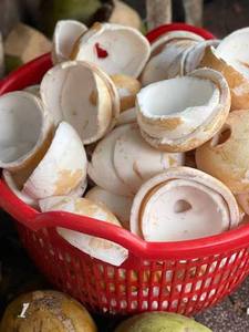 เนื้อมะพร้าวสุกธรรมชาติ คุณภาพพรีเมียม ผู้ส่งออกจากเวียดนาม สำหรับการแปรรูปอาหารน้ำนมมะพร้าว รับผลิตแบบ OEM ODM - Product Image 4