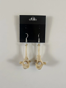 Pendientes de Hueso de Vértebra Pulidos, Ecológicos y de Origen Ético, Joyería Gótica de Boda con Hueso Animal Real, Únicos - Product Image 3