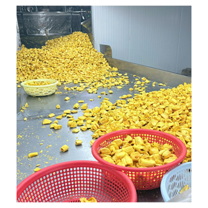 Prix d'usine pour les chips de jaca frites sous vide destinées à l'exportation - Product Image 6