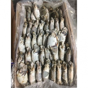 ปูทะเลแช่แข็งคุณภาพสูงจากเวียดนาม - Product Image 3
