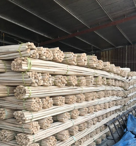 Grandes cannes en bambou pour clôtures, cloisons, décoration en provenance du Vietnam / Poteaux en bambou traité pour jardin extérieur - Product Image 6