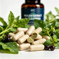 OEM 3000mg Molène Énergie Détox Pulmonaire Soutien Respiratoire Complément Formule Herbacée Naturelle Capsules Sans OGM Vente en Gros Adulte 60