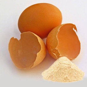 Poudre de membrane d'œuf de première qualité, ingrédient naturel sauvage, qualité alimentaire supérieure, 0,99 %, compléments alimentaires toutes saisons, nutraceutique - Product Image 3