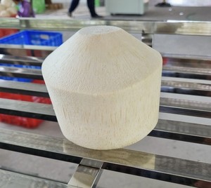 Viet Delta Organic Grade a Diamond Cut <b>Fresh</b> Whole Young <b>Coconut</b> for Export - Product Image 1