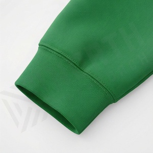 Custom <b>Polyester</b> <b>Hoodies</b> 280 GSM Lightweight Sweatshirts Factory Price Wholesale Soft Comfortable Premium Quality Customized - Product Image 6