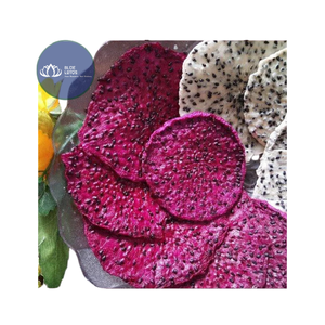 FRUTA DE DRAGÓN SECADA ARTESANAL Y SOSTENIBLE EN OFERTA – Rebanadas de Fruta Seca Ecológicas al por Mayor - Product Image 1