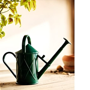 Regadera de Metal Pulido Brillante de Alta Calidad para Jardín y Hogar, Fabricada en India, Herramienta para Regar Plantas - Product Image 1