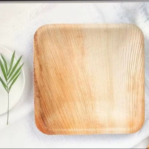 Eco Disposable Heavy Duty Solid Pattern Fast Food & Dish Palm Leaf Square 7 Inches Plates Outdoor Dining Picnic Use Compostable - Product Image 1