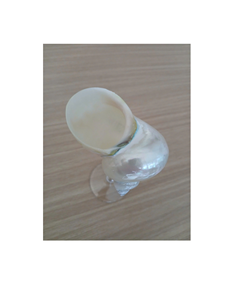 Natural Snail Shell Wine Glasses Elegant Customizable Seashell Wine Glasses/Conch Glasses/Natural Snail Shell Cup From 99Gold - Product Image 1