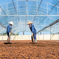 Café Vert Robusta de Qualité Exportation, Meilleures Ventes, Prix Compétitif, Traitement Naturel et Propre S18, Emballage en Vrac