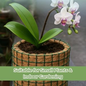 Maceta Redonda de Fibra de Coco de Alta Calidad, 13x10cm, Maceta Natural para Plantas de Interior, Uso en Jardines de Suculentas - Product Image 5