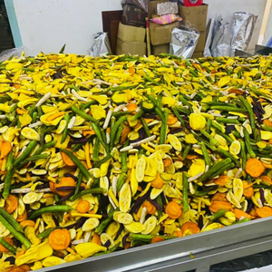 Mélange de légumes et de jaca séchés croustillants du Vietnam, fiable, en sac sous vide de 7 kg, pour une qualité de collation constante, 99 Gold Data - Product Image 1