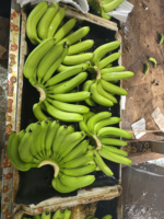 Verse Cavendish Banaan Vietnam Export Kwaliteit Premium Zoete Smaak Concurrerende Prijs Bulkaanbod