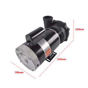 Pompa per Piscina e Spa da 3 HP, 230 Volt, Modello 3721221 1D 56, a 2 Velocità, con Filtro, Ingresso 2 Pollici, Uscita 2 Pollici, Protezione Termica Automatica del Motore - Product Image 3