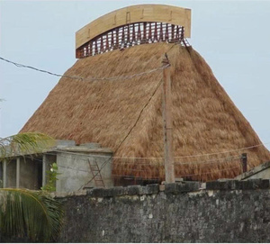 Large Palm Leaf Umbrella 2.5m Natural Thatch Garden Beach Umbrella Vietnam Manufacturer Bulk Supplier Export - Product Image 3