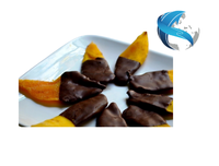 Luxe Vietnamese chocolade gedipte zachte gedroogde mango tropische fruitdelicatesse voor groothandelsdistributie