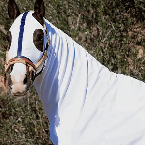 ผ้าคลุมม้าแบบตาข่าย ดีไซน์ใหม่ตามสั่ง ราคาประหยัด กันน้ำ แห้งเร็ว สำหรับฤดูหนาว ผลิตจากโพลีเอสเตอร์ 100% - Product Image 1