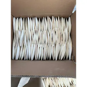 Exporter and supplier of dry cuttlefish bone / sepia bones dried good quality