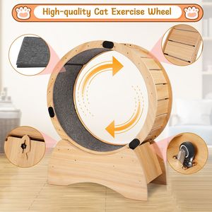 Grande Kitty Sport Toy riducendo la noia filatura di graffiare divertimento sul gatto in moquette rossa tapis roulant ruota di esercizio per il Fitness felino - Product Image 2