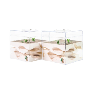 Aangran Sand Grass Medium Acrylic Eco-Friendly Durable Ant Nest Habitat for Living Room Indoor Outdoor Use - Product Image 1