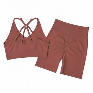 Conjunto Deportivo de 2 Piezas para Mujer, Sujetador Deportivo y Pantalones Cortos, Ropa Deportiva para Yoga, Color Sólido, Mejor Precio, Ropa de Gimnasio para Mujer - Product Image 2