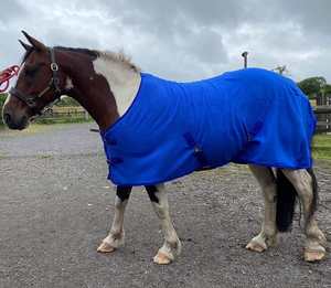 Manta Impermeable para Caballo, Diseño 2024, para Invierno, Personalizable en Tamaño/Color/Logotipo, para Uso en Competencias de Doma Clásica, Poliéster - Product Image 5