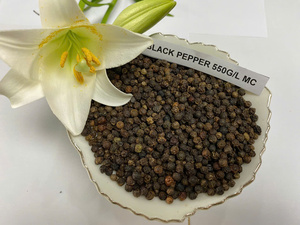 Pimienta Negra Vietnamita Premium 550g/l Grado ASTA, Especias Secas de Alta Calidad, Aroma Intenso, Estándar de Exportación para Procesamiento de Alimentos - Product Image 5