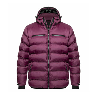 Manteau d'hiver pour homme de haute qualité, léger, à capuche, en duvet, veste matelassée épaisse, veste d'hiver décontractée, coupe ajustée - Product Image 1