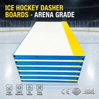 Panneaux de protection de patinoire de hockey sur glace professionnels en HDPE pour la construction d'arenas – Vente en gros usine