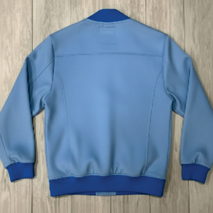 Chaqueta Bomber Azul para Hombre, Color Sólido, Cuello Camisero, Corte Regular, Material de Poliéster, Ropa Exterior Informal de Otoño, Cierre de Cremallera - Product Image 1