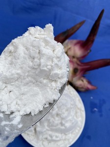 Almidón de Araroto Orgánico en Polvo, Sabor Natural para Alimentos e Ingredientes, Empacado en Bolsa, Origen Vietnam - Product Image 5