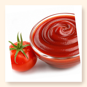 Salsa de tomate de calidad internacional, deliciosa, de fábrica en Vietnam, envasada en botellas de varios tamaños, a precio de fábrica. - Product Image 1