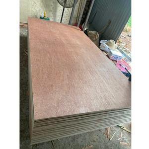 Panneau de contreplaqué Bintangor de deuxième classe, minimaliste, fabriqué au Vietnam, avec âme en eucalyptus, finition farine de blé - Product Image 1