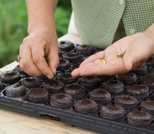 [BEST SELLER] BLUE LOTUS FARM Pastilles de coco écologiques à haute absorption pour germination des semis et matériau de plantation - Product Image 3
