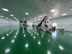 Cashew Nut Processing Plant 5-100 T/Day Semi-<b>auto</b> Raw cashew nut Food Grade Stainless Steel Manufacturer Vietnam - Product Image 4