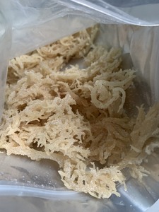 Nori naturel cru, torréfié, biologique, sauvage et frais en sachet pour smoothies et boissons - Product Image 1