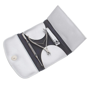 Ensemble de manucure professionnel 3 pièces, kit de soins des ongles en acier inoxydable, coupe-ongles, pincettes, lime à ongles, outils de toilettage, étui argenté - Product Image 1