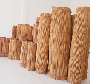 แท่งซินนามอนศรีลังกาสดขนาด5นิ้วของแท้100% อบเชยเกรด H1 - Product Image 2