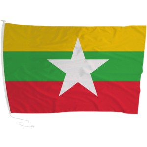 Bandera Nacional Personalizada de Doble Cara de Poliéster para Exhibición en Asta de Bandera - Product Image 5