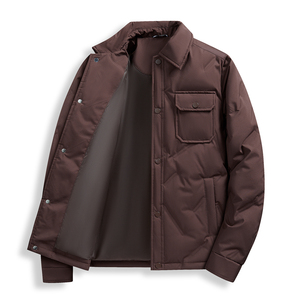 Men's <b>Light</b> Blue Hooded <b>Puffer</b> <b>Jacket</b> Winter Coat Windproof Casual Zipper Closure Regular Fit Solid Color Eco-friendly High - Product Image 1